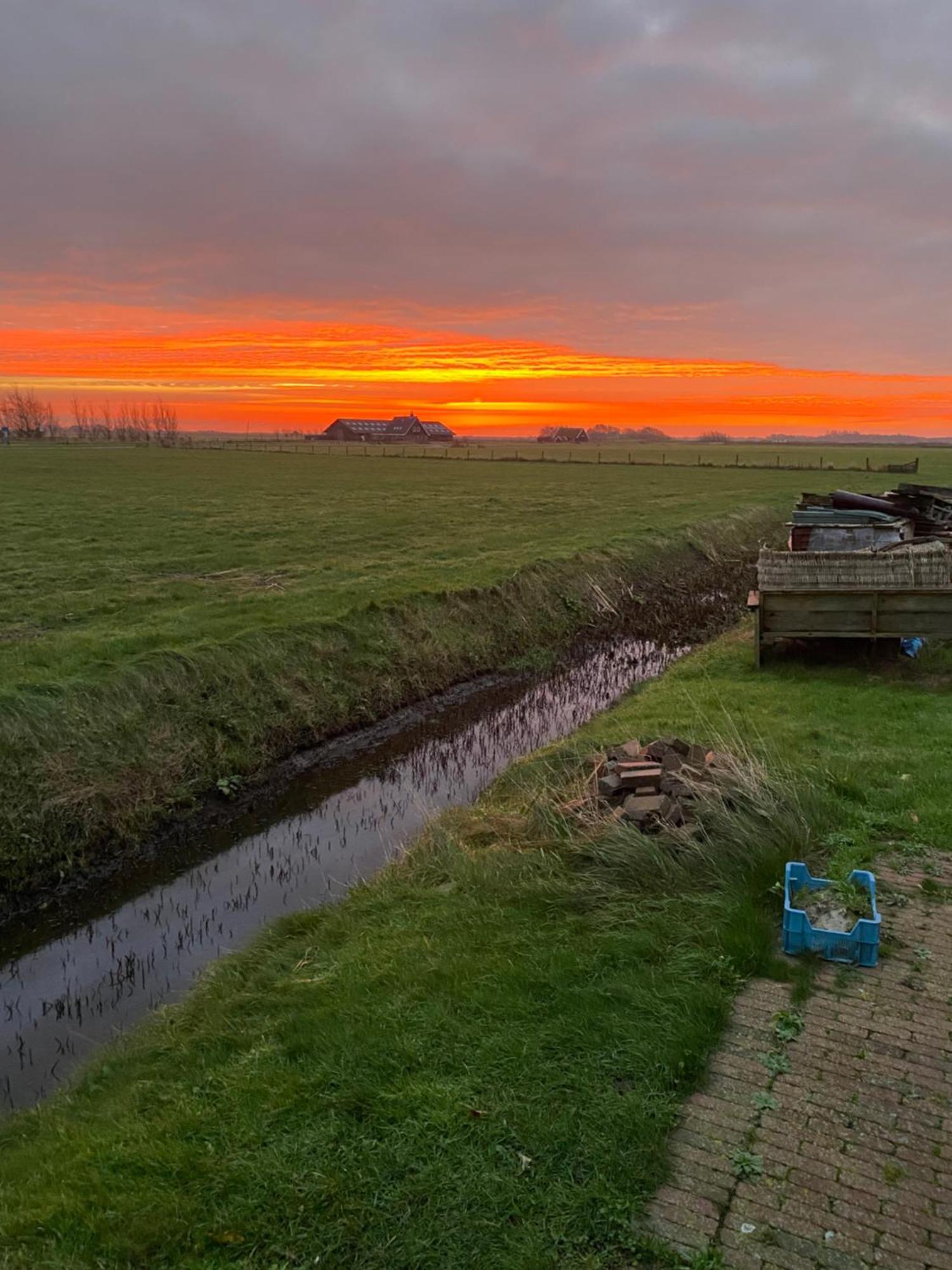 Bed And Breakfast Oomes Huus Den Hoorn  Exterior foto