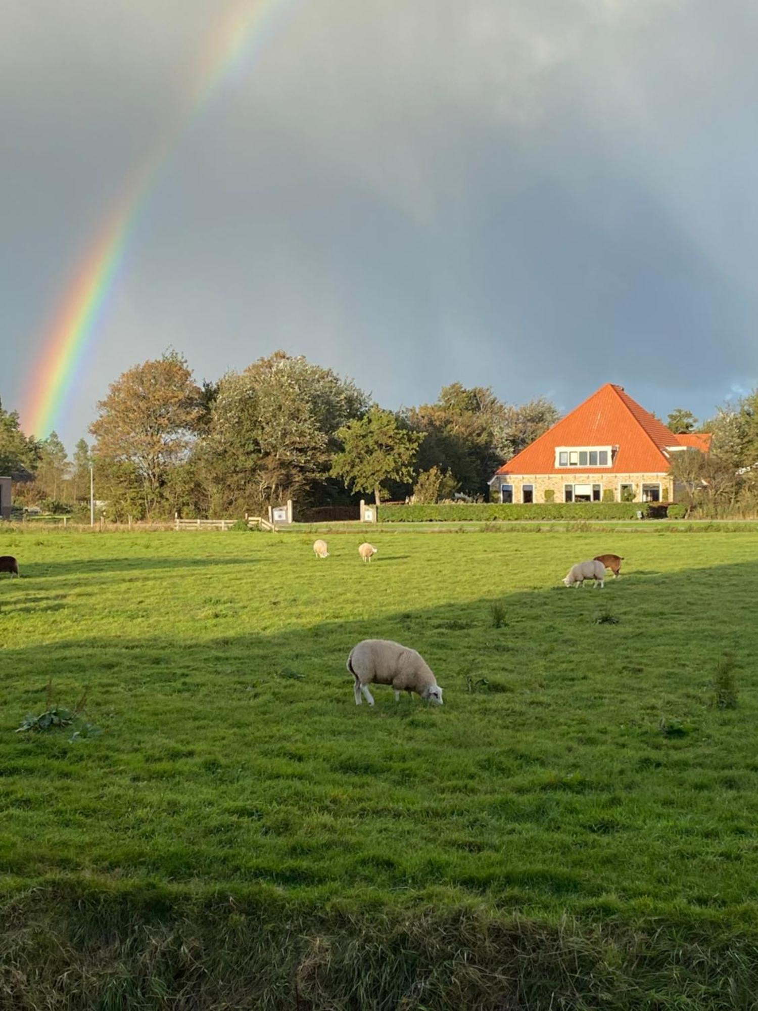 Bed And Breakfast Oomes Huus Den Hoorn  Exterior foto