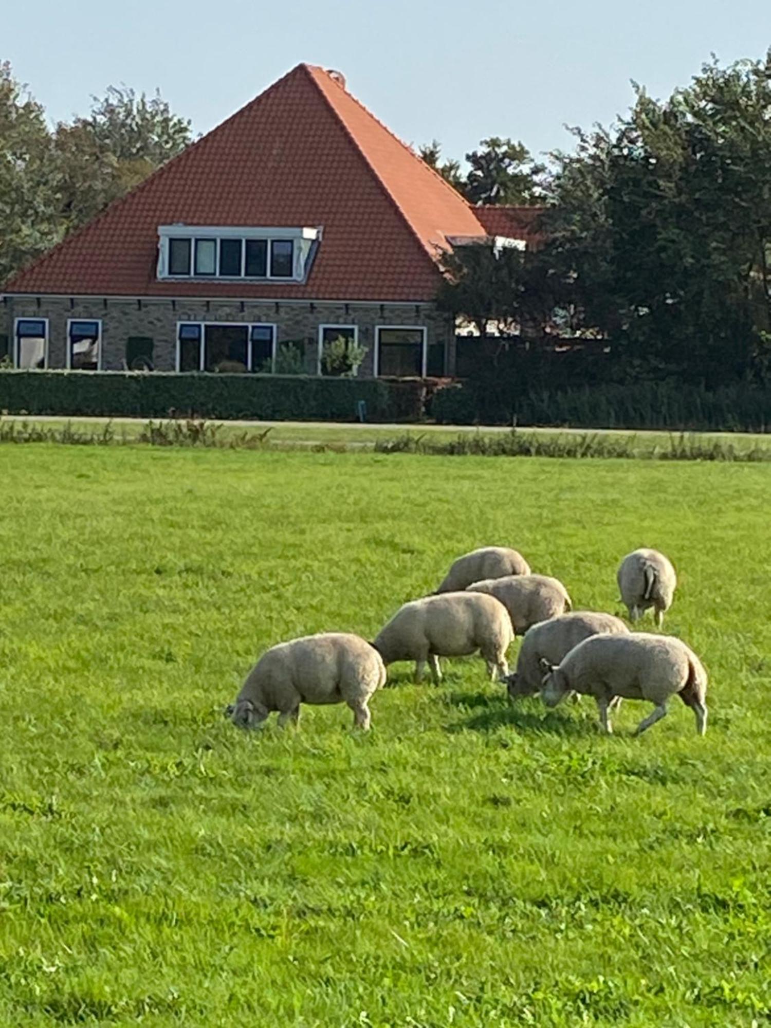 Bed And Breakfast Oomes Huus Den Hoorn  Exterior foto